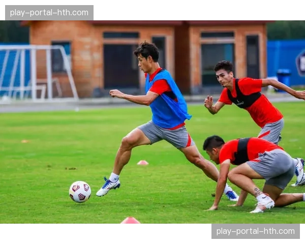 外援政策调整为“6655”，增强球队应对伤病与多线作战能力